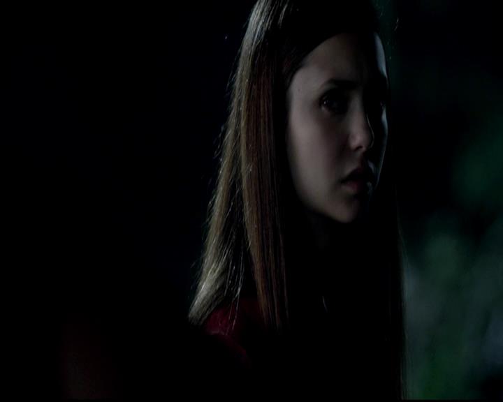 VampireDiariesWorld-dot-org_4x06WeAllGoALittleMadSometimes1571.jpg