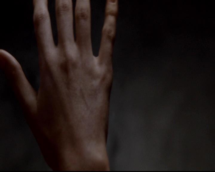 VampireDiariesWorld-dot-org_4x06WeAllGoALittleMadSometimes1713.jpg VampireDiariesWorld-dot-org_4x06WeAllGoALittleMadSometimes1713.jpg