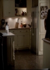 VampireDiariesWorld-dot-org_4x06WeAllGoALittleMadSometimes0022.jpg