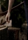 VampireDiariesWorld-dot-org_4x09OComeAllYeFaithful0319.jpg