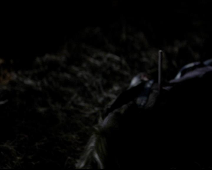 VampireDiariesWorld-dot-org_4x10AfterSchoolSpecial1982.jpg