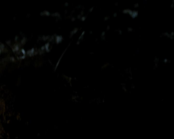 VampireDiariesWorld-dot-org_4x10AfterSchoolSpecial1986.jpg