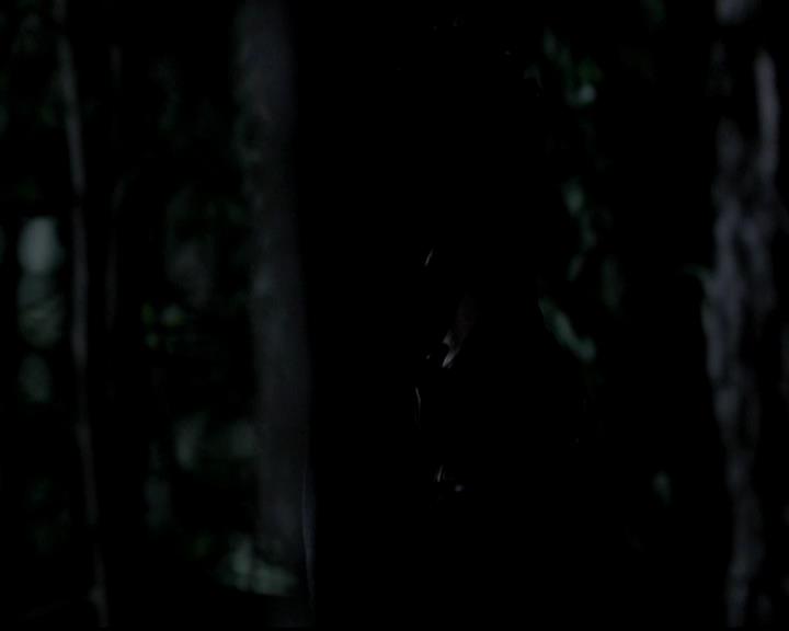 VampireDiariesWorld-dot-org_4x10AfterSchoolSpecial2009.jpg