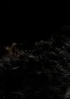 VampireDiariesWorld-dot-org_4x10AfterSchoolSpecial1983.jpg