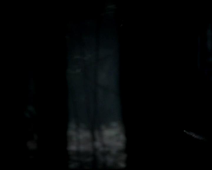 VampireDiariesWorld-dot-org_4x11CatchMeIfYouCan0003.jpg