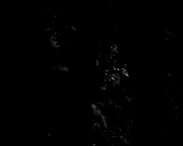 VampireDiariesWorld-dot-org_4x11CatchMeIfYouCan0006.jpg