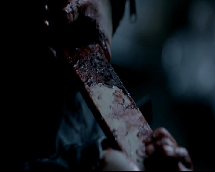 VampireDiariesWorld-dot-org_4x11CatchMeIfYouCan0928.jpg