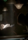 VampireDiariesWorld-dot-org_4x11CatchMeIfYouCan0060.jpg