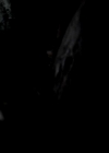 VampireDiariesWorld-dot-org_4x11CatchMeIfYouCan1385.jpg
