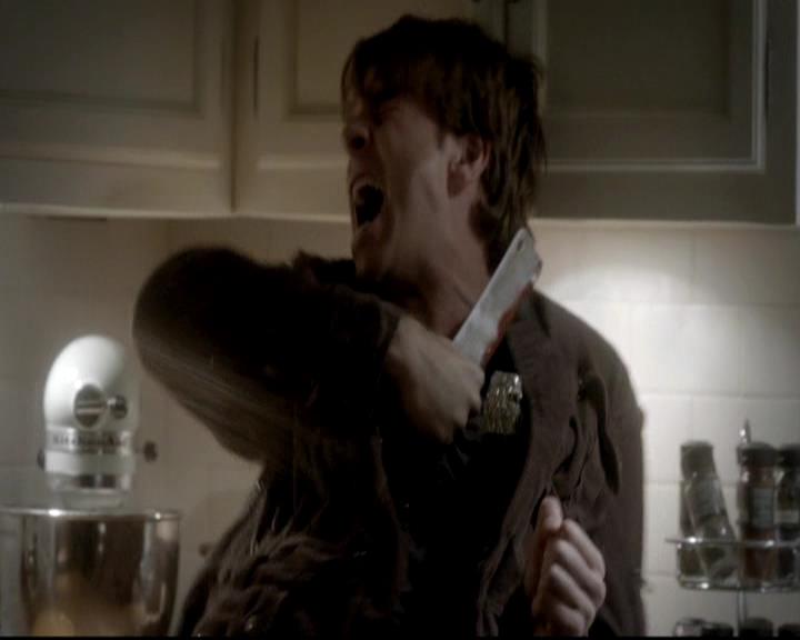 VampireDiariesWorld-dot-org_4x12AViewToAKill1920.jpg