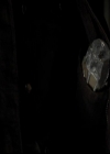 VampireDiariesWorld-dot-org_4x12AViewToAKill0601.jpg