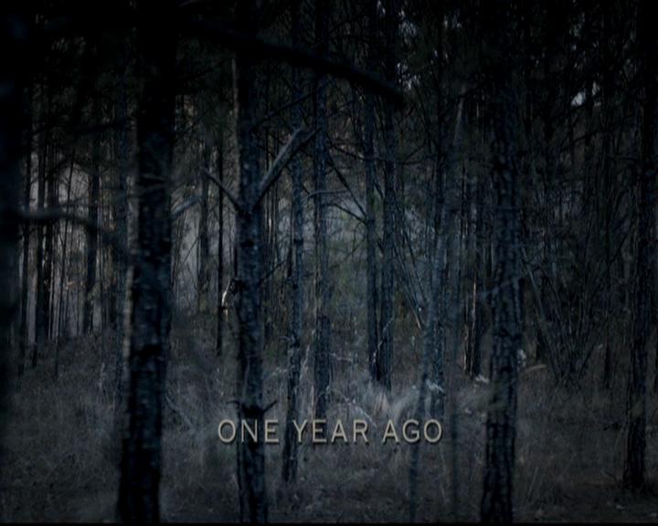 VampireDiariesWorld-dot-org_4x13IntoTheWild0042.jpg