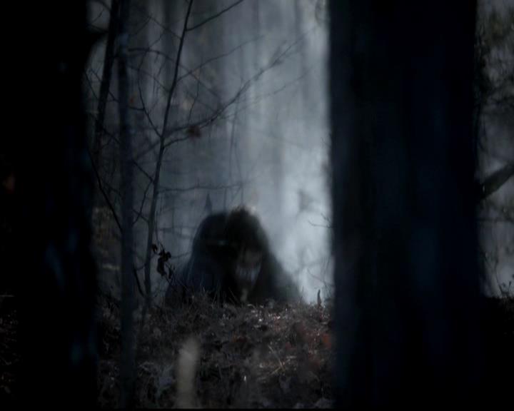 VampireDiariesWorld-dot-org_4x13IntoTheWild0044.jpg