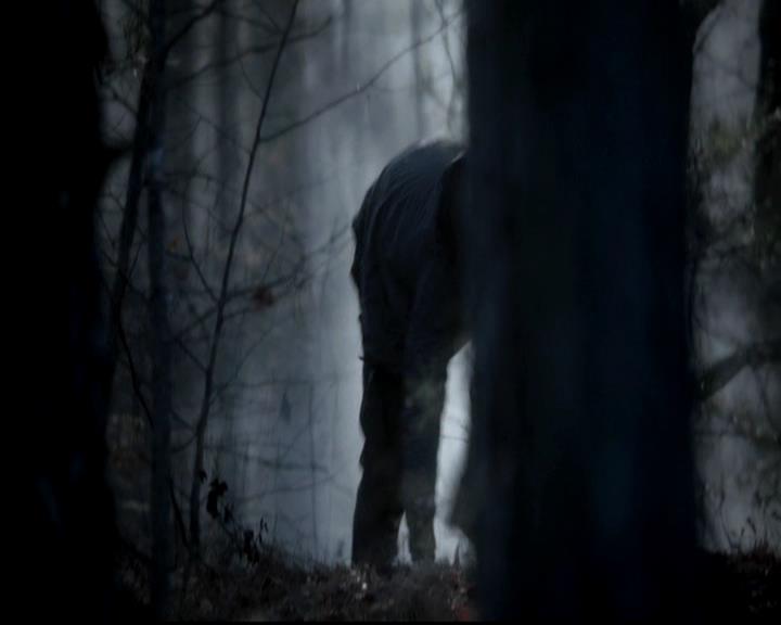 VampireDiariesWorld-dot-org_4x13IntoTheWild0045.jpg