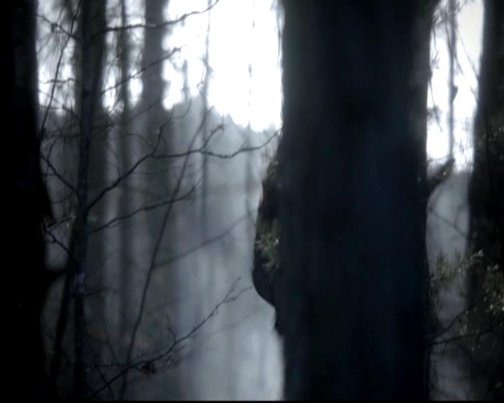 VampireDiariesWorld-dot-org_4x13IntoTheWild0046.jpg