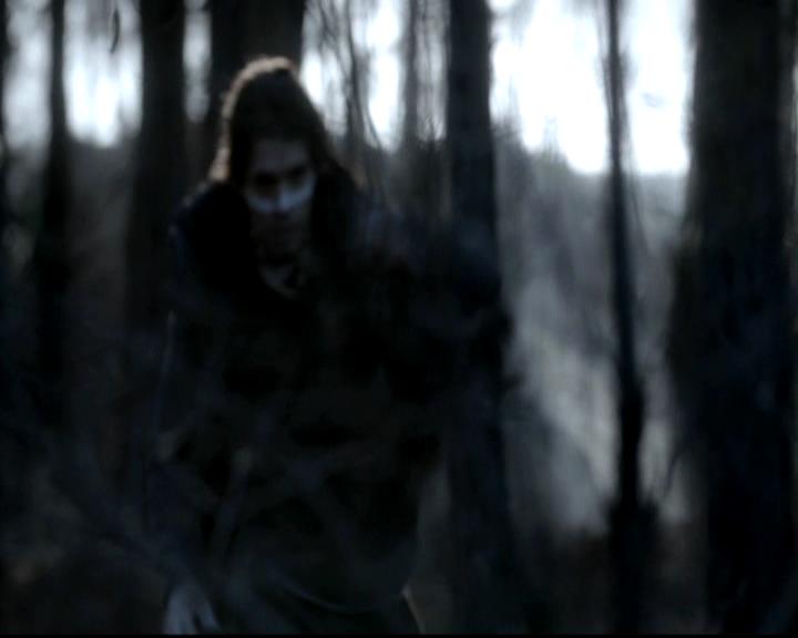 VampireDiariesWorld-dot-org_4x13IntoTheWild0050.jpg