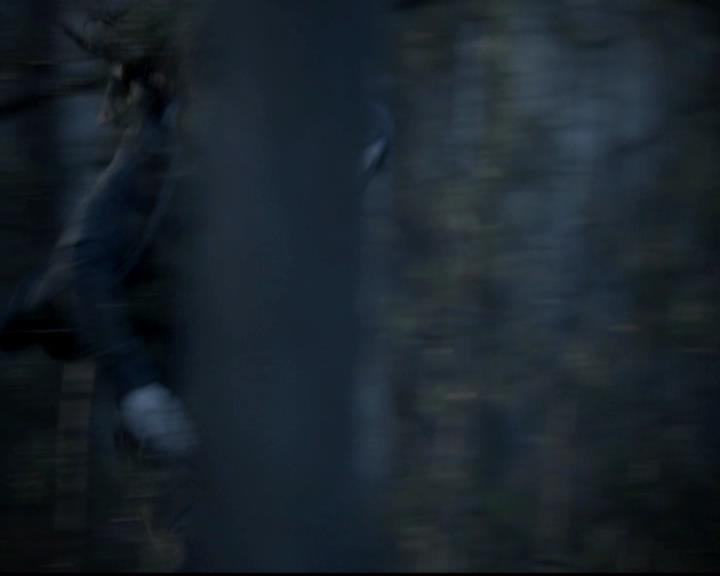 VampireDiariesWorld-dot-org_4x13IntoTheWild0054.jpg