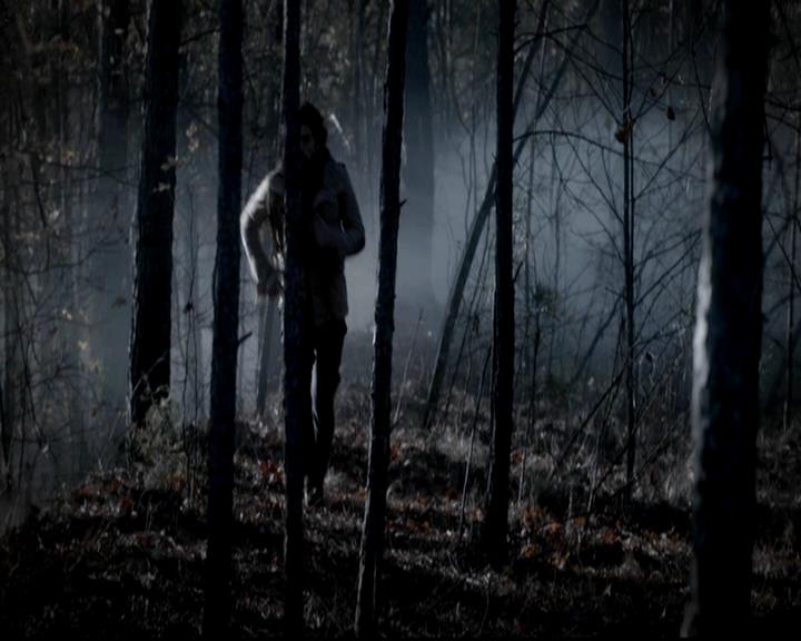 VampireDiariesWorld-dot-org_4x13IntoTheWild0063.jpg