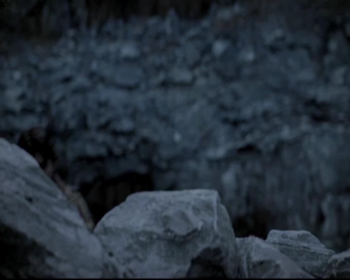 VampireDiariesWorld-dot-org_4x13IntoTheWild0064.jpg