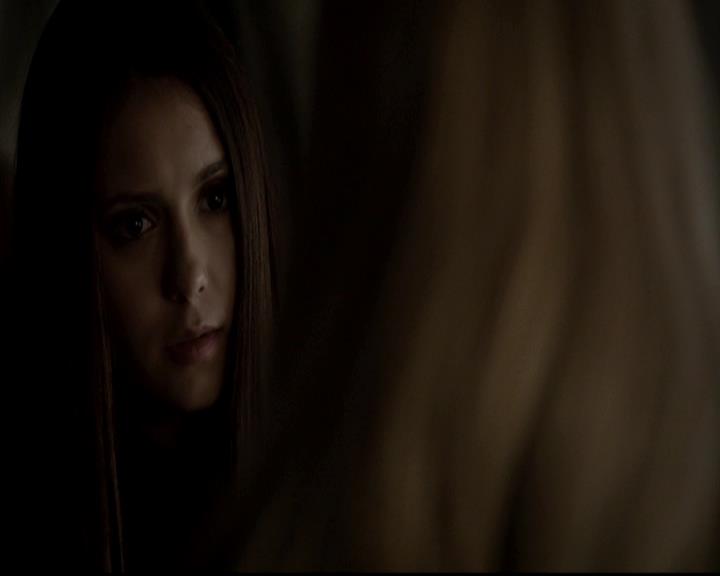 VampireDiariesWorld-dot-org_4x13IntoTheWild2241.jpg