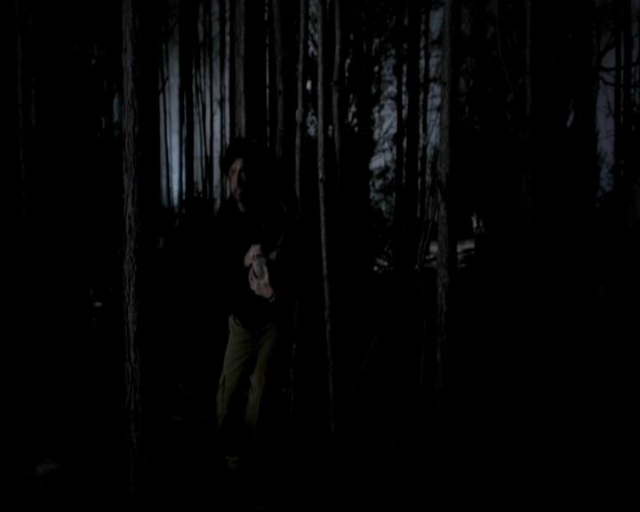 VampireDiariesWorld-dot-org_4x13IntoTheWild2247.jpg