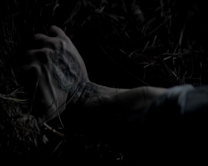 VampireDiariesWorld-dot-org_4x13IntoTheWild2314.jpg