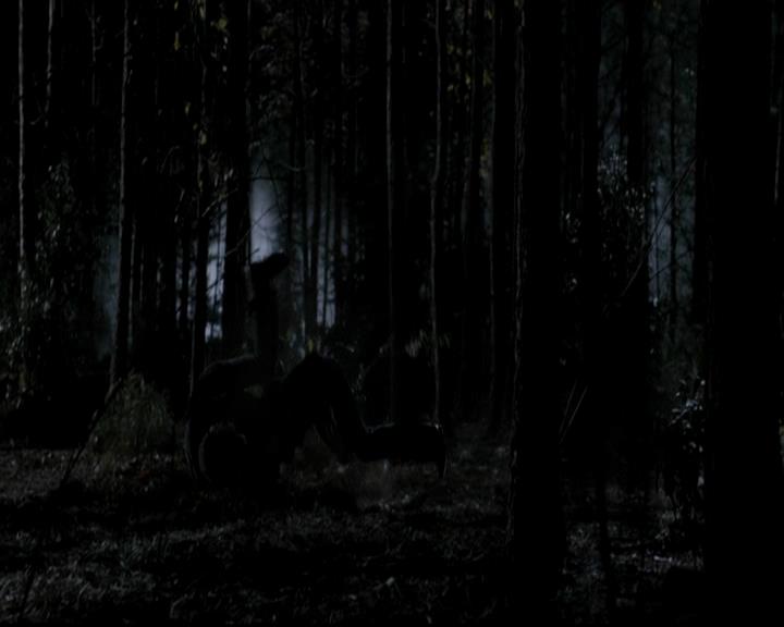 VampireDiariesWorld-dot-org_4x13IntoTheWild2318.jpg