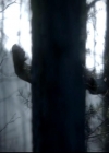 VampireDiariesWorld-dot-org_4x13IntoTheWild0040.jpg