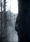 VampireDiariesWorld-dot-org_4x13IntoTheWild0046.jpg