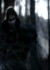 VampireDiariesWorld-dot-org_4x13IntoTheWild0050.jpg