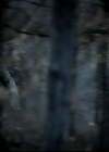 VampireDiariesWorld-dot-org_4x13IntoTheWild0052.jpg