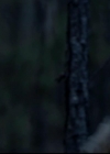 VampireDiariesWorld-dot-org_4x13IntoTheWild0059.jpg