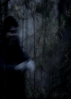 VampireDiariesWorld-dot-org_4x13IntoTheWild0061.jpg