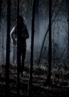 VampireDiariesWorld-dot-org_4x13IntoTheWild0063.jpg