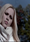 VampireDiariesWorld-dot-org_4x13IntoTheWild0204.jpg