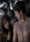 VampireDiariesWorld-dot-org_4x13IntoTheWild0267.jpg