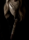 VampireDiariesWorld-dot-org_4x13IntoTheWild2238.jpg