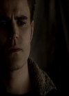 VampireDiariesWorld-dot-org_4x13IntoTheWild2245.jpg