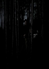 VampireDiariesWorld-dot-org_4x13IntoTheWild2246.jpg