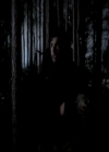 VampireDiariesWorld-dot-org_4x13IntoTheWild2248.jpg