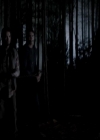 VampireDiariesWorld-dot-org_4x13IntoTheWild2253.jpg