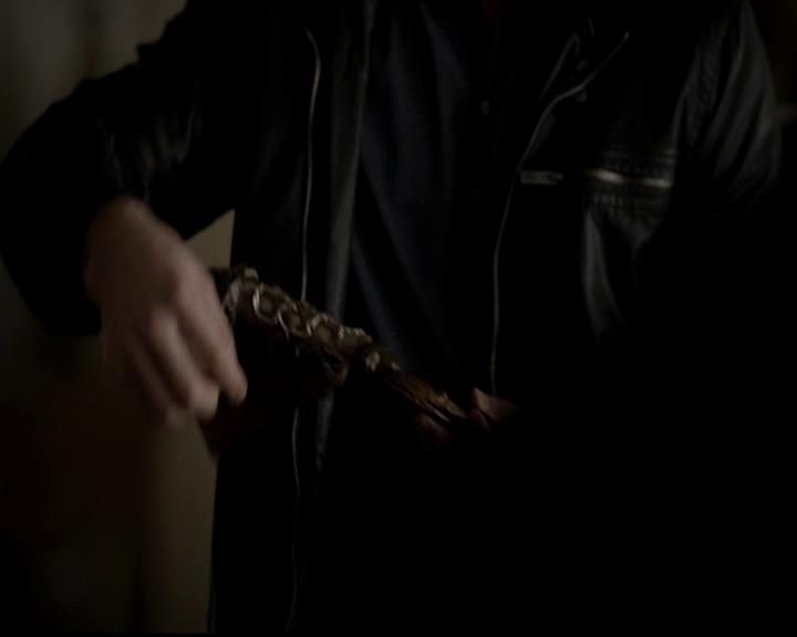 VampireDiariesWorld-dot-org_4x14DownTheRabbitHole0358.jpg