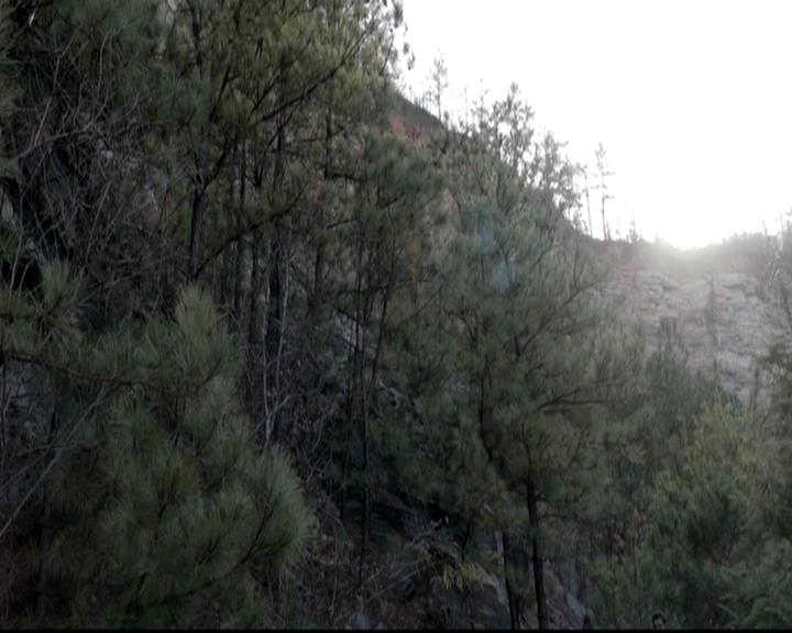 VampireDiariesWorld-dot-org_4x14DownTheRabbitHole0921.jpg