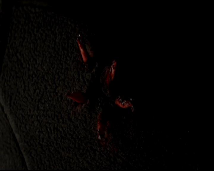 VampireDiariesWorld-dot-org_4x14DownTheRabbitHole1301.jpg