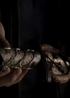 VampireDiariesWorld-dot-org_4x14DownTheRabbitHole0363.jpg