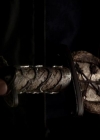VampireDiariesWorld-dot-org_4x14DownTheRabbitHole0372.jpg