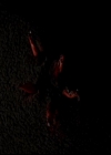 VampireDiariesWorld-dot-org_4x14DownTheRabbitHole1301.jpg