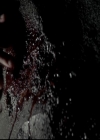 VampireDiariesWorld-dot-org_4x14DownTheRabbitHole2231.jpg