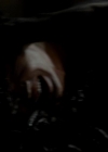 Filename=VampireDiariesWorld-dot-org_4x14DownTheRabbitHole2306.jpg
Filesize=13KiB
Dimensions=720x576
Date added=Dec 07, 2013 VampireDiariesWorld-dot-org_4x14DownTheRabbitHole2306.jpg