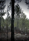VampireDiariesWorld-dot-org_4x15StandByMe0515.jpg